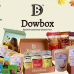 String Metaverse Ltd Reports Q1 FY26 Consolidated Revenue of ₹199 Cr and PAT of ₹18.29 Cr